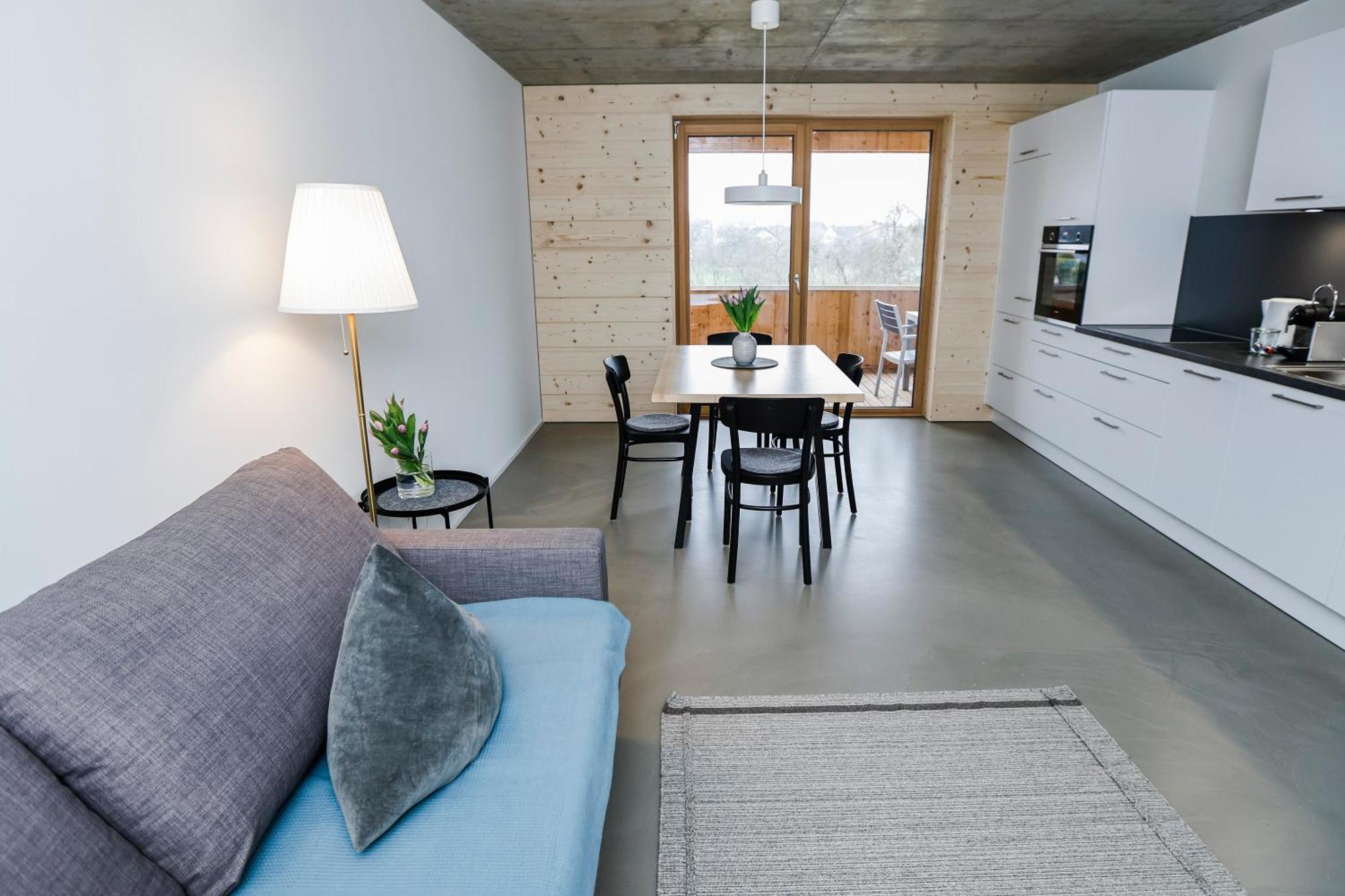 Boutique Apartments Lustenau Nachhaltige Kuehlung Ueber Erdsonde Und Fussbodenkuehlung Kamer foto